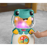 Fisher-Price® Seek & Find Frø
