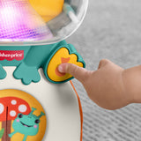 Fisher-Price® Seek & Find Frø