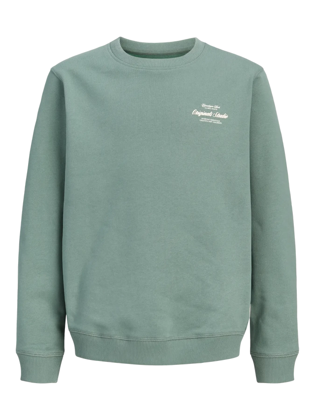 Jack & Jones Junior Laurel Wreath Jornorrebro Typo Back Sweat Cn Jnr