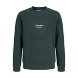Jack & Jones Junior Scarab Jjesoho Sweat Crew Neck Sn Jnr