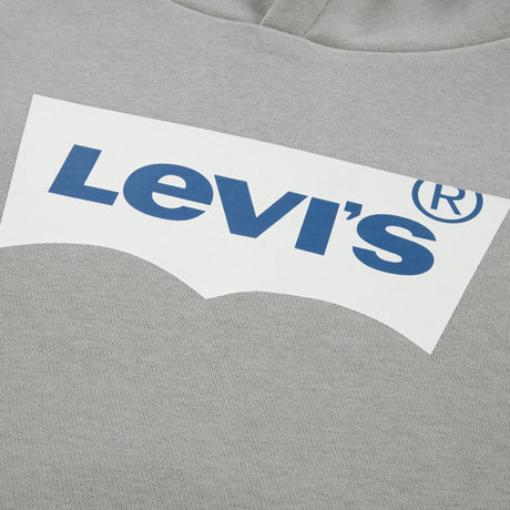 Levi's Ghost Gray Batwing Screenprint Hættetrøje