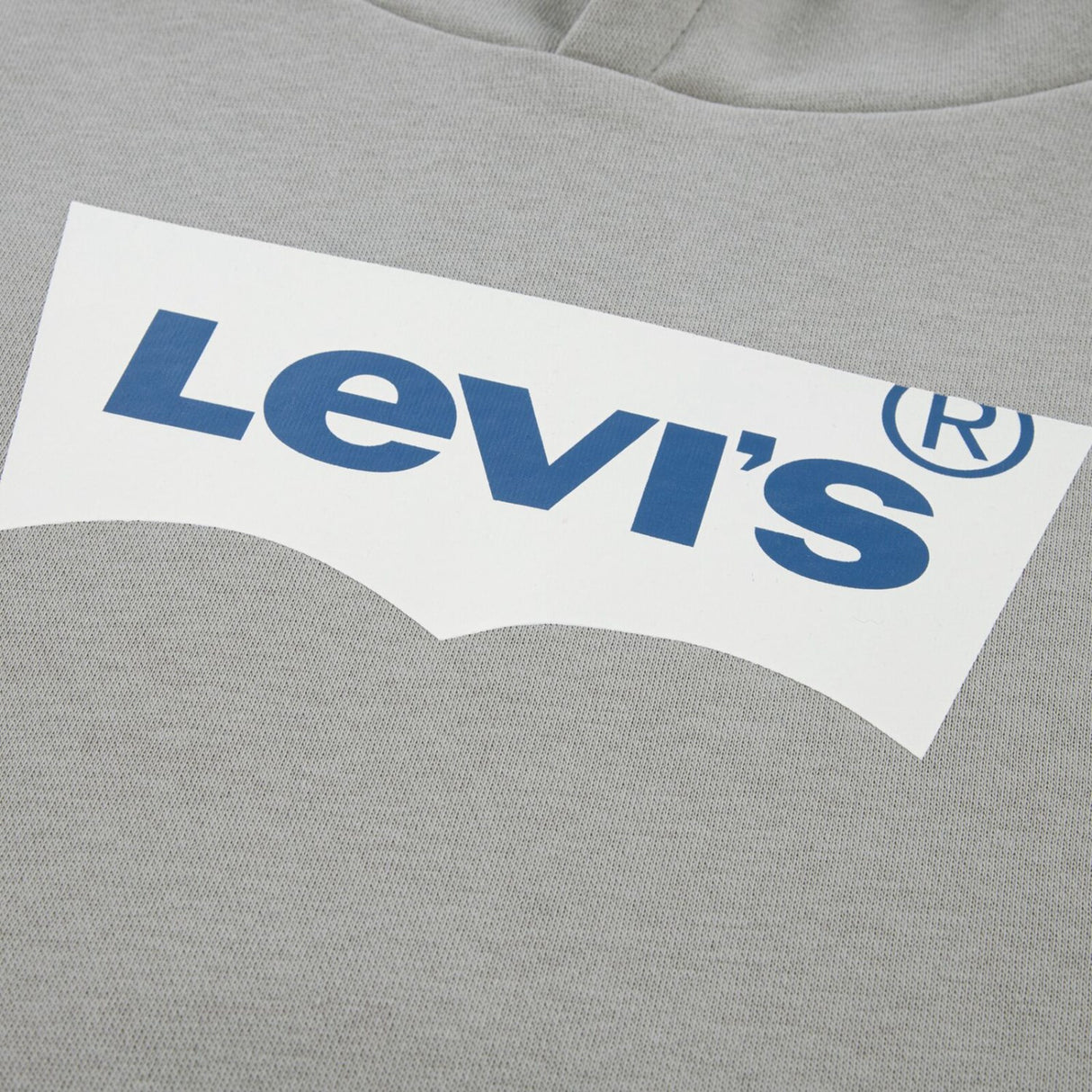 Levi's Ghost Gray Batwing Screenprint Hættetrøje