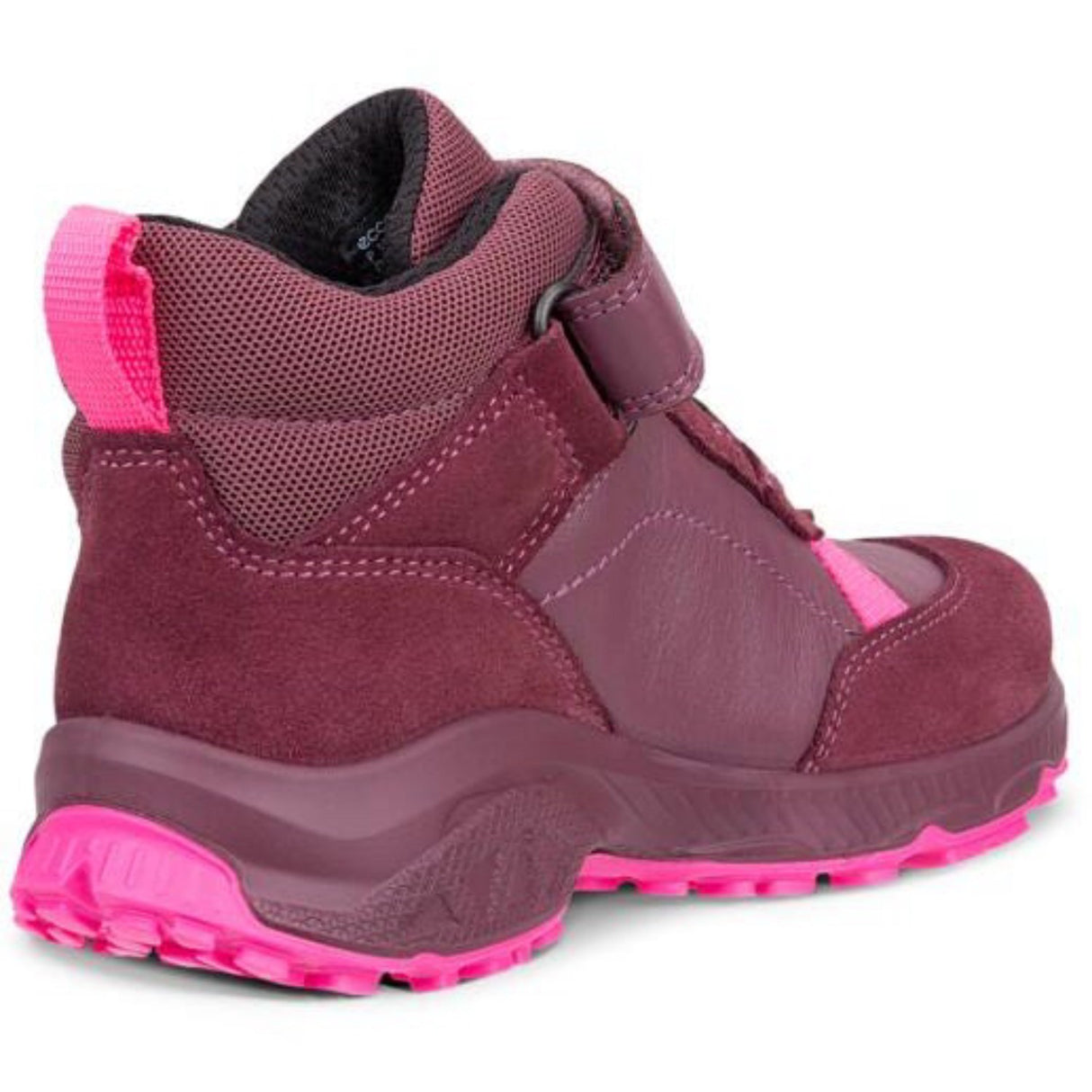 Ecco Nocturne/Ultra Pink Receptor Xp K Ankle