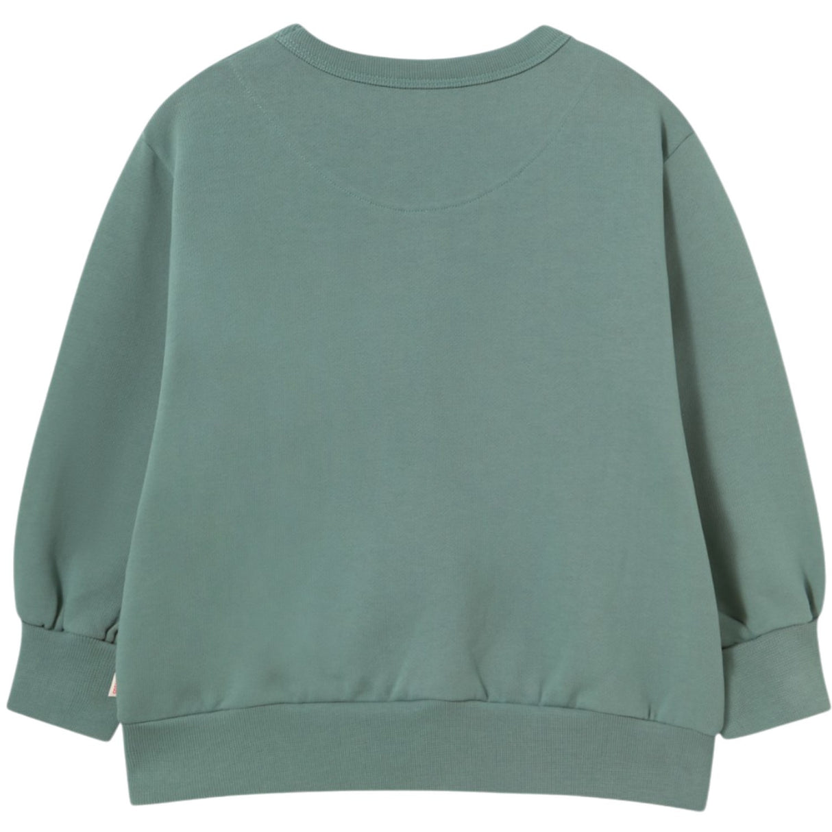 TinyCottons Teal Two Dogs Graphic Sweatshirt