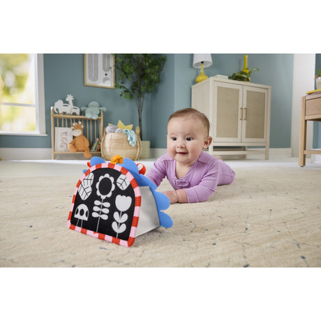 Fisher-Price® Nyfødt 2-i-1 Spejl