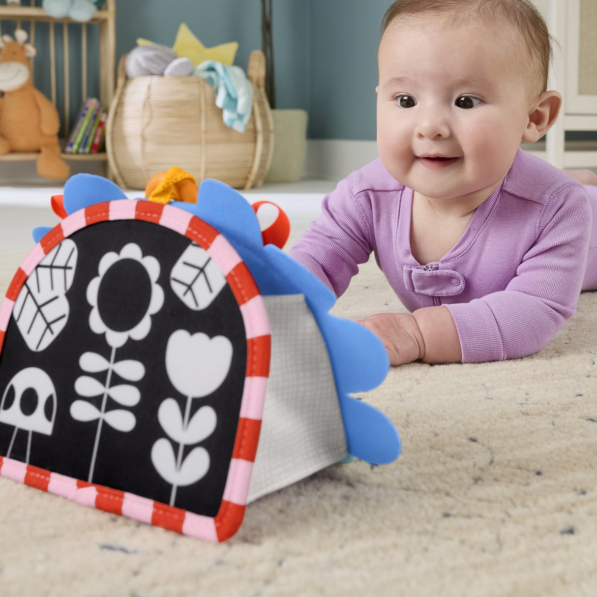 Fisher-Price® Nyfødt 2-i-1 Spejl