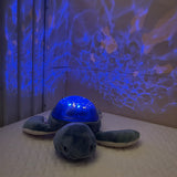 Pabobo Green Turtle Ocean Themed Projector USB