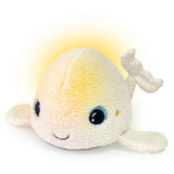Pabobo White Whale Musical Night Light
