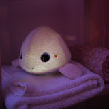 Pabobo White Whale Musical Night Light