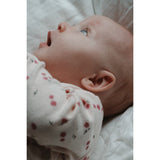 Petit Piao Eggnog Rosehip Aop Ppgracie L_S Pointelle Body