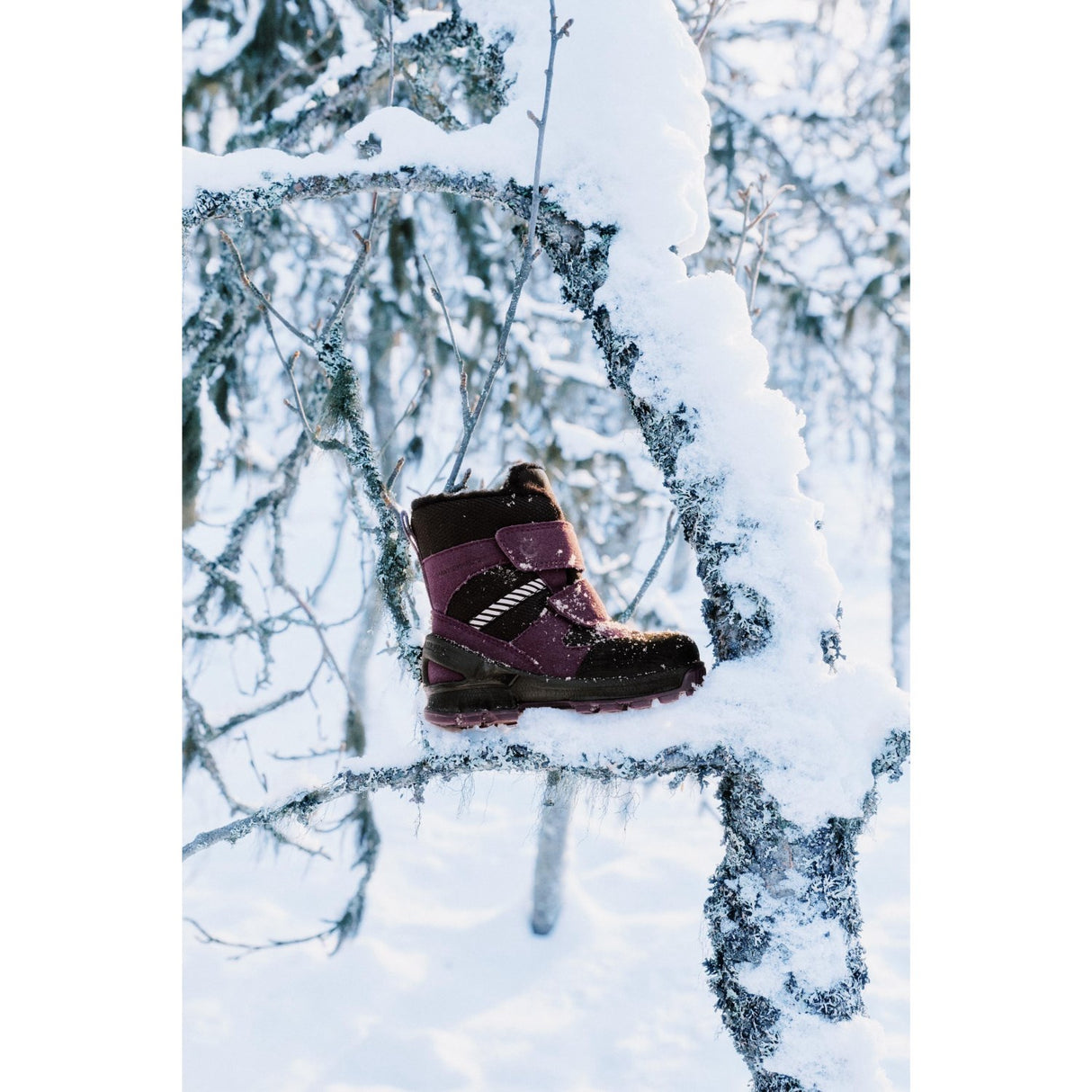 Ecco Black/Mauve/Black Biom Hike I Højt Vinterstøvler 2X