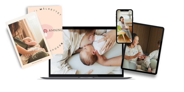 SMART Ammeguiden (e-bog)