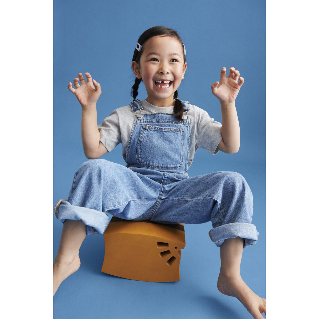 bObles Golden Zoo Lion L24 Zoo