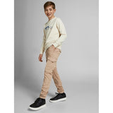 Jack & Jones Junior Crockery Paul Flake Bukser 1075 Noos 5