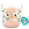 Squishmallows  Celestino Highland Cow