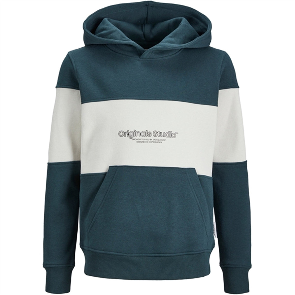 Jack & Jones Junior Magical Forest Lakewood Colorblock Sweat Hoodie