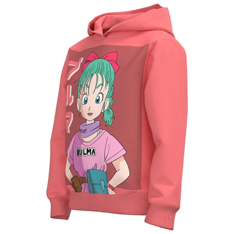 Name it Tea Rose Jus Dragonball Sweatshirt 2