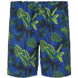 Name it Surf the Web Palm Zorro Badeshorts