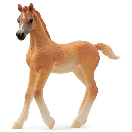 schleich® Horse Club Arabisk Føl