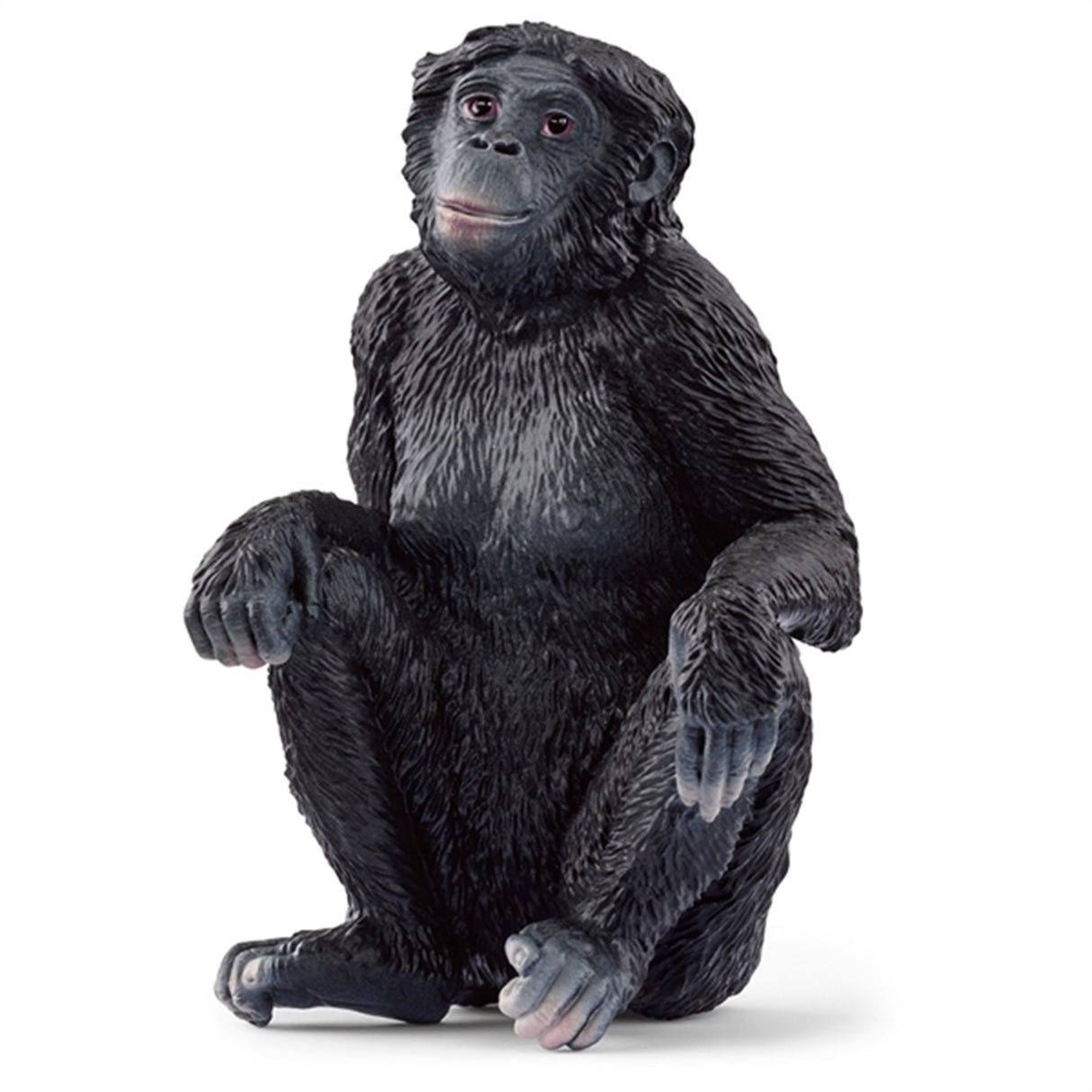 schleich® Wild Life Bonobo Hun