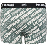 Hummel Laurel Wreath Nolan Boxers 2-pak 4