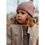 Wheat Winter Flowers Liv Body