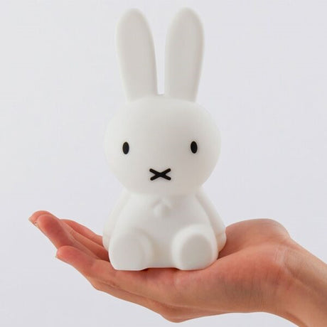 Mr. Maria Miffy Bundle Of Light 2