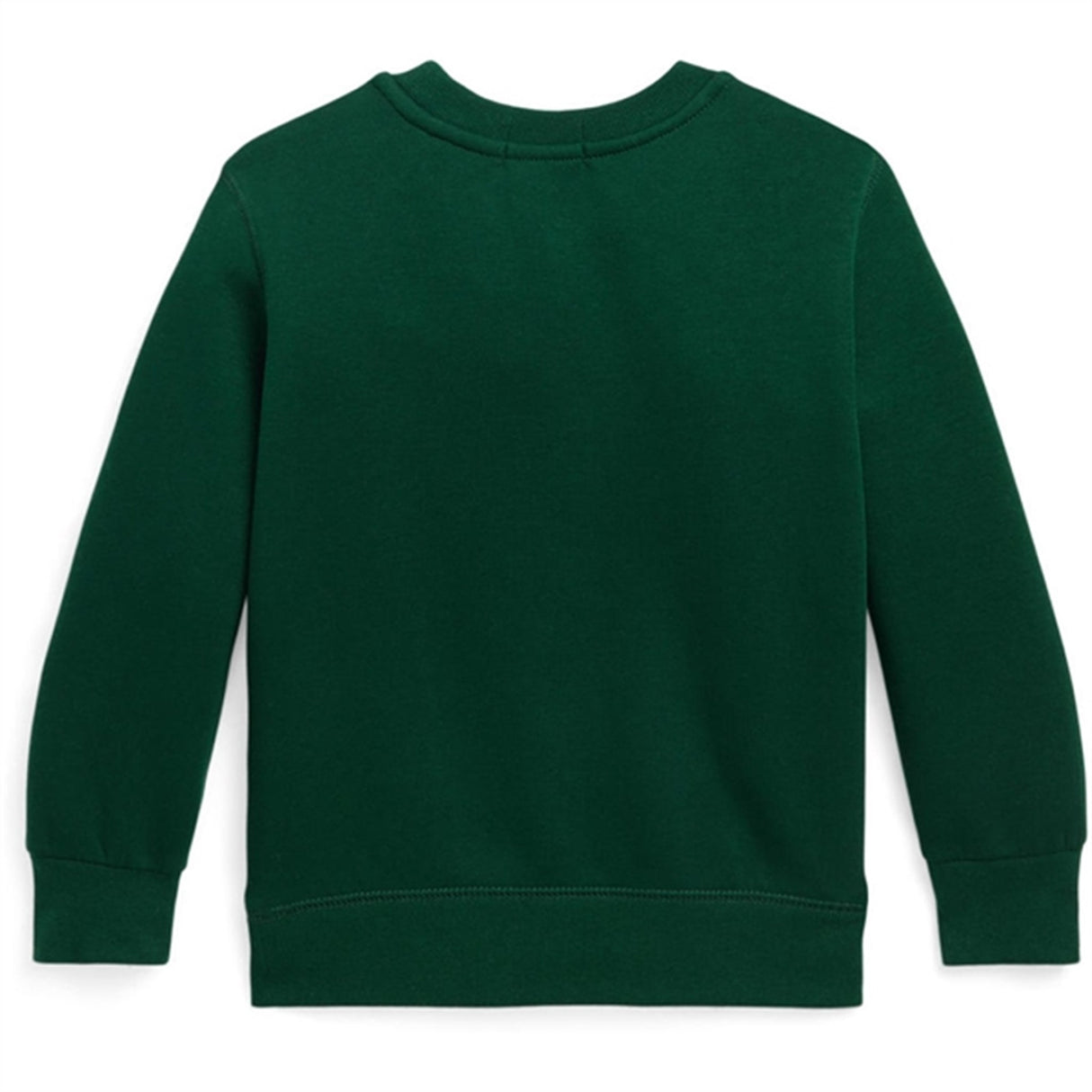 Polo Ralph Lauren Boy Sweatshirt Moss Agate/Wine 2