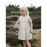 Serendipity Misty Stripes Loose Kjole 3