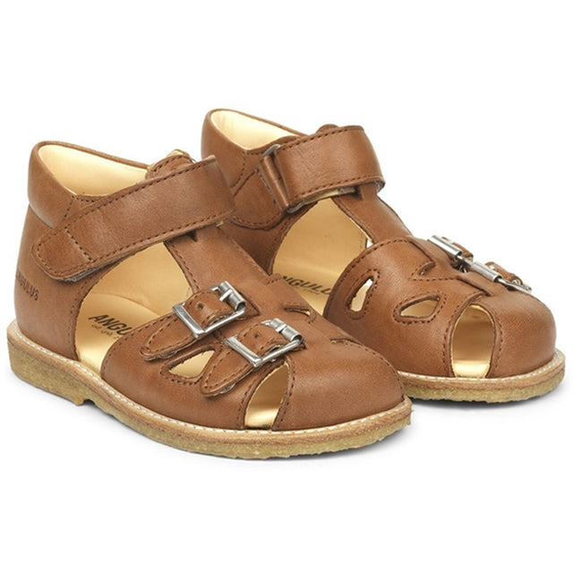 Angulus Begyndersandal M. Velcro Og Spænder Cognac