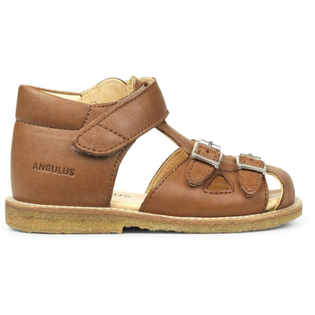 Angulus Begyndersandal M. Velcro Og Spænder Cognac 2