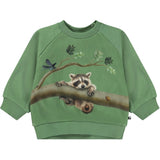 Molo Animal Living Disc Sweatshirt