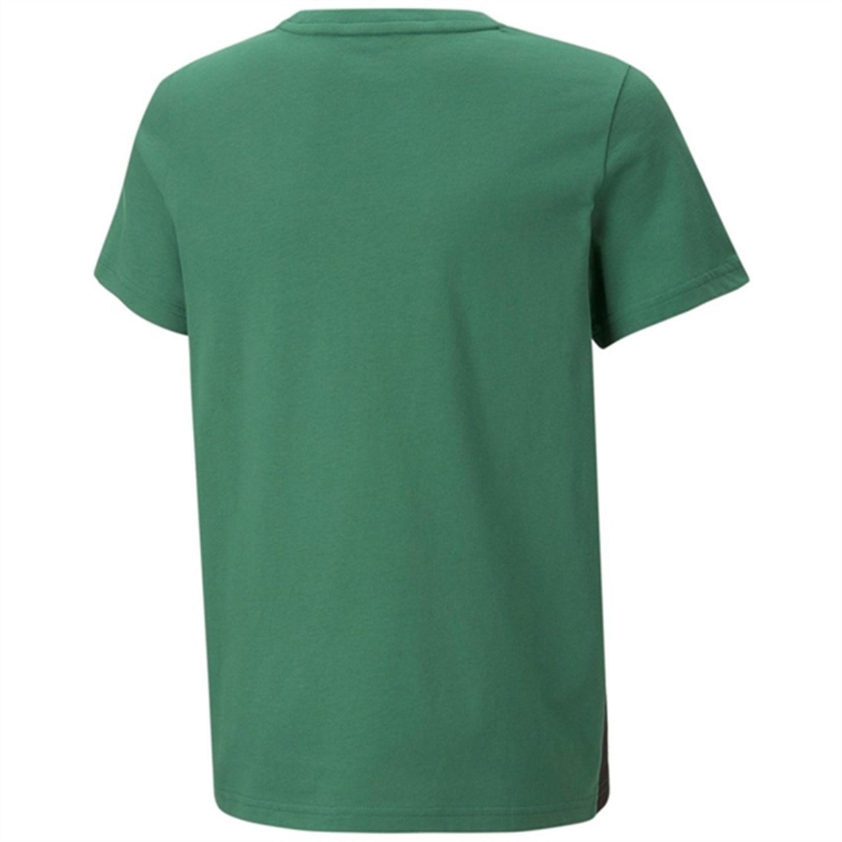 Puma ESS Block T-shirt Vine 2