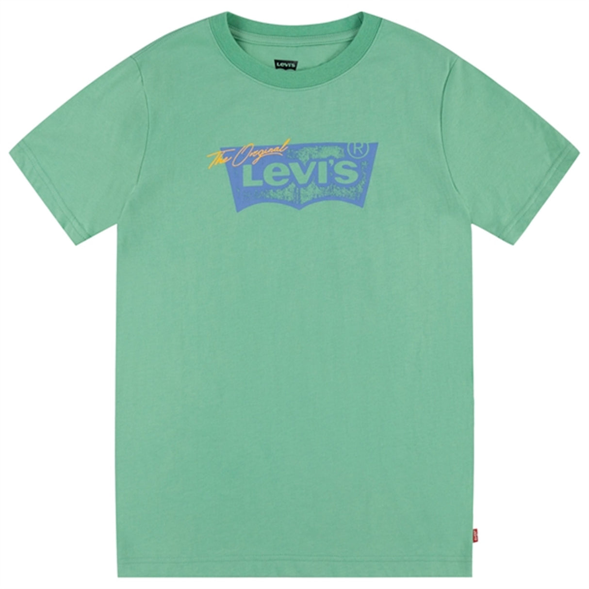 Levi's Distressed Batwing T-shirt Green