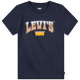 Levi's Rock Out T-shirt Grey