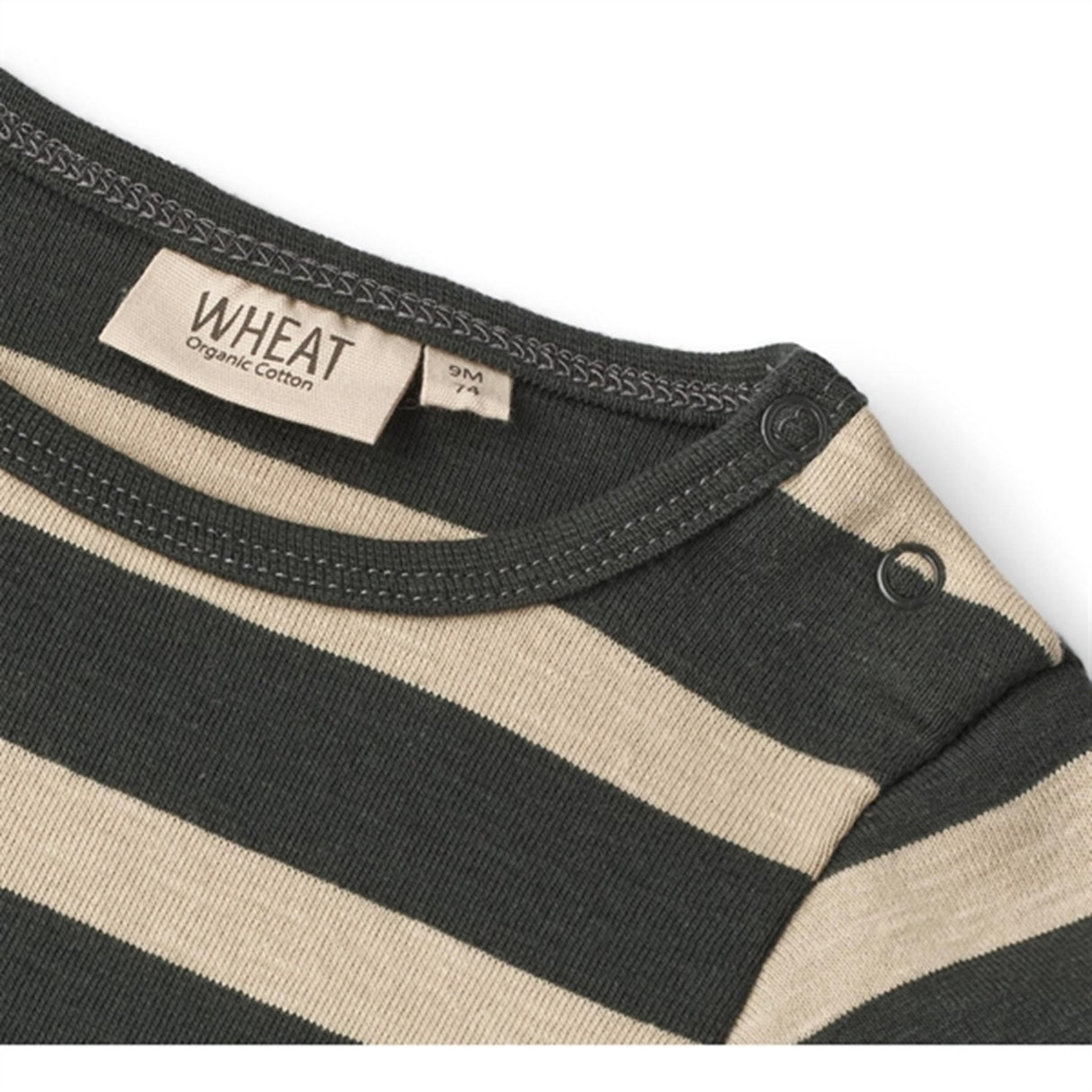 Wheat Dark Stripe Body Freddie 2