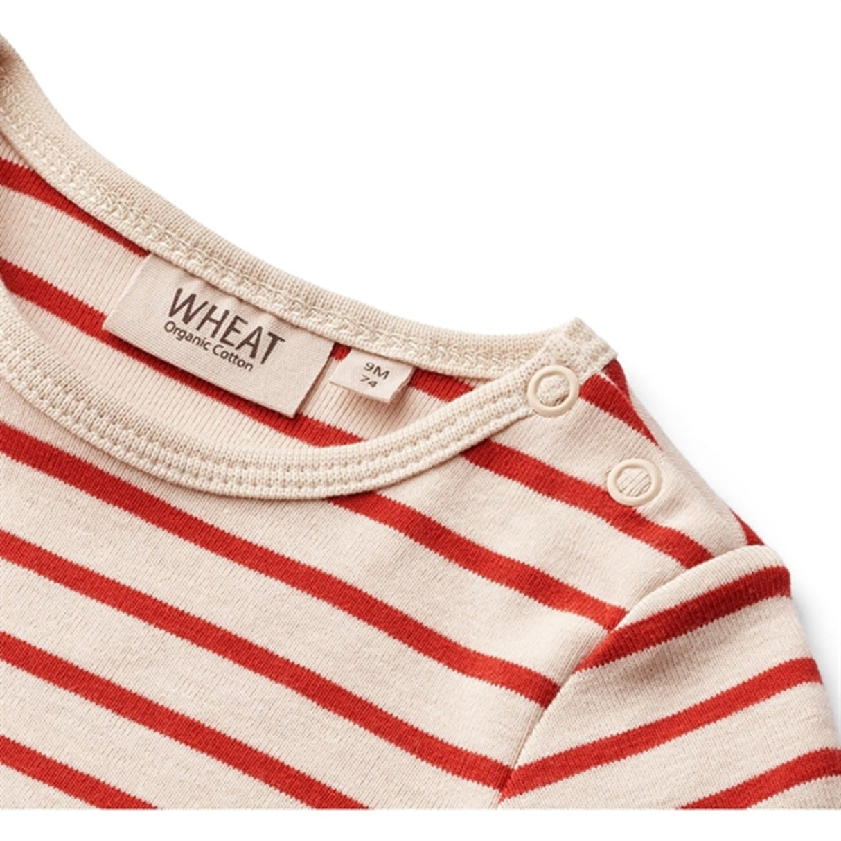 Wheat Red Stripe Body Edvald 3