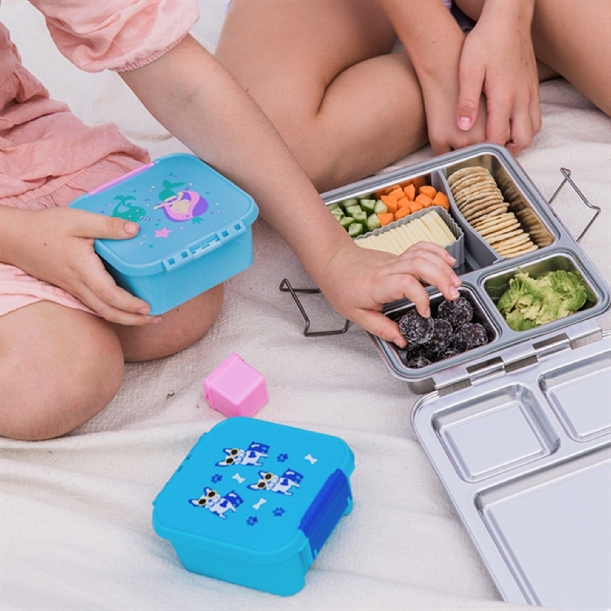 Little Lunch Box Co Bento 2 Madkasse Cool Pup 3