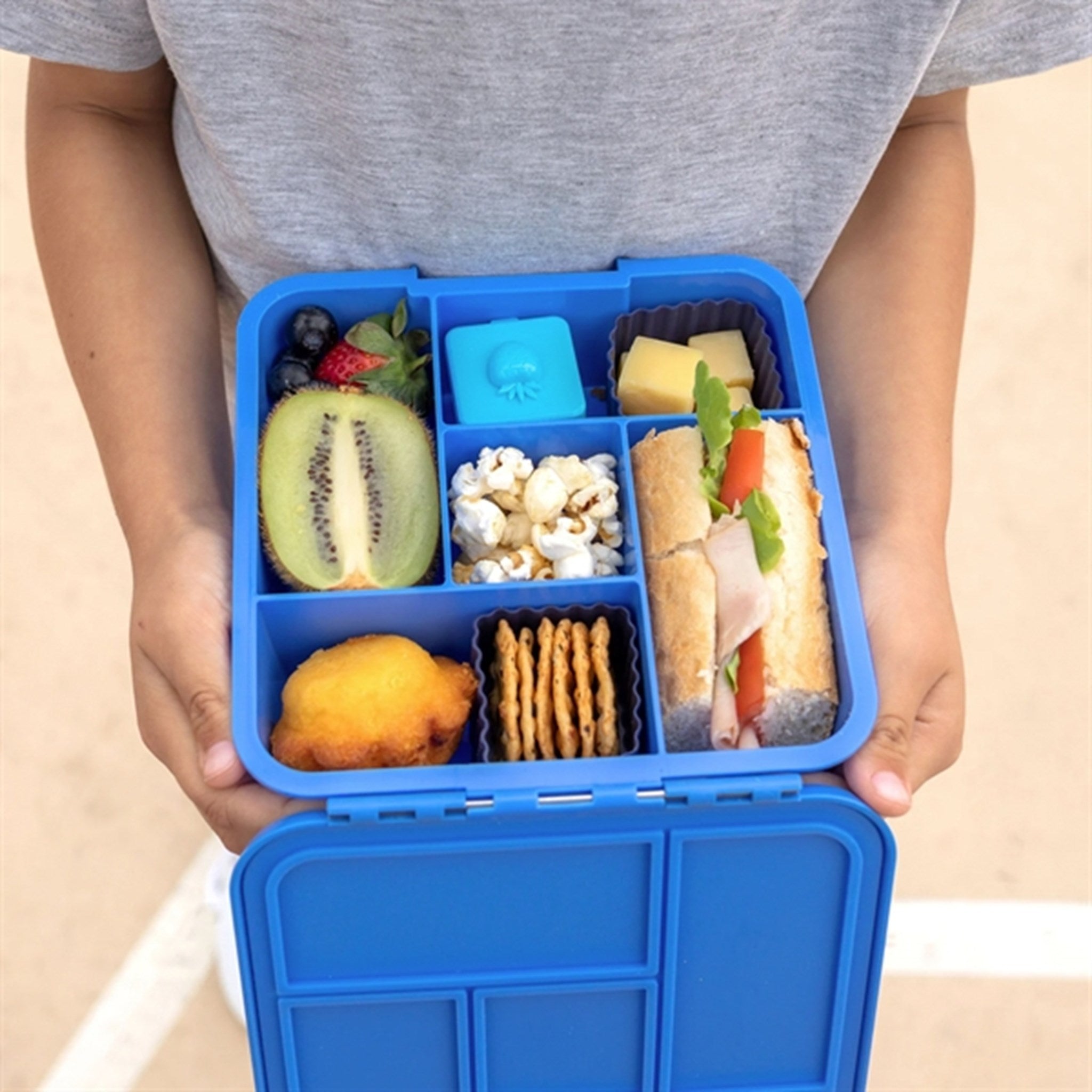 Little Lunch Box Co Bento 5 Madkasse Blueberry 2