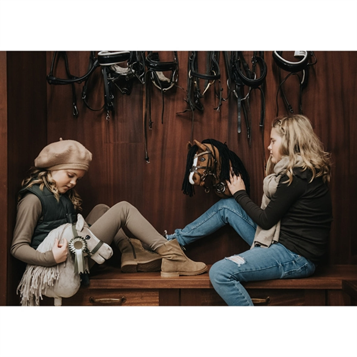 Cheval Roi Kæphest Charlie