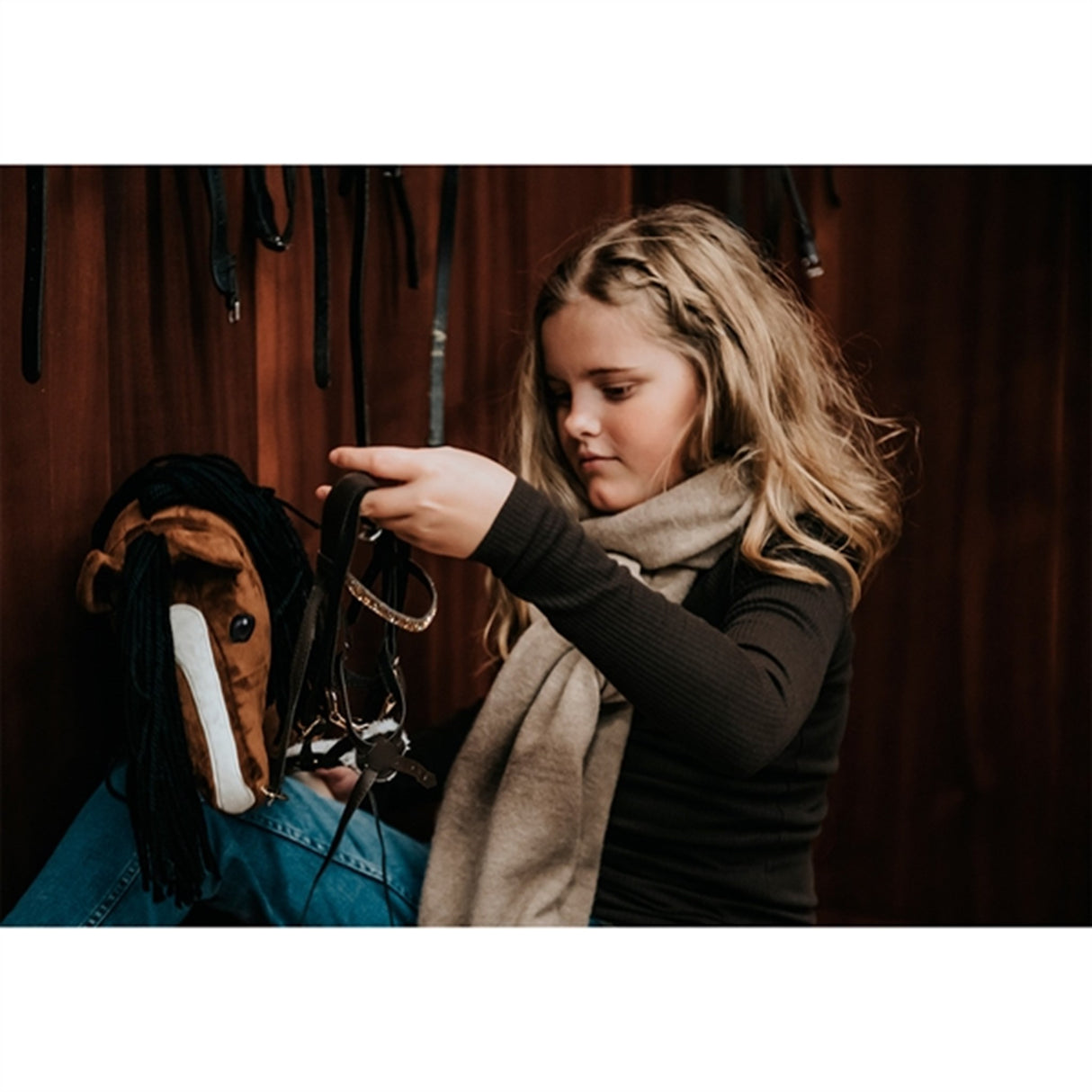 Cheval Roi Kæphest Charlie