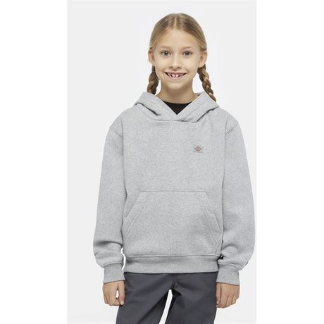 Dickies Oakport Hoodie Heather Gray