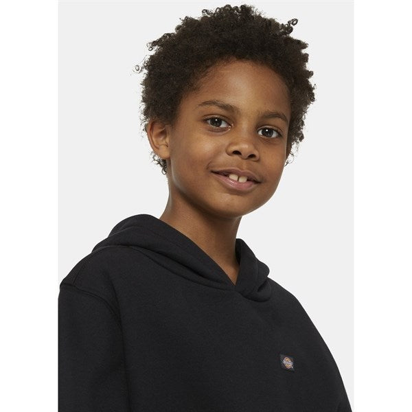 Dickies Oakport Hoodie Knit Black