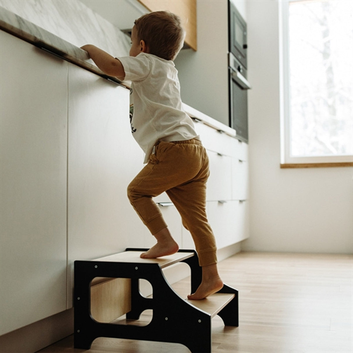 Duck Woodworks Step Stool Black