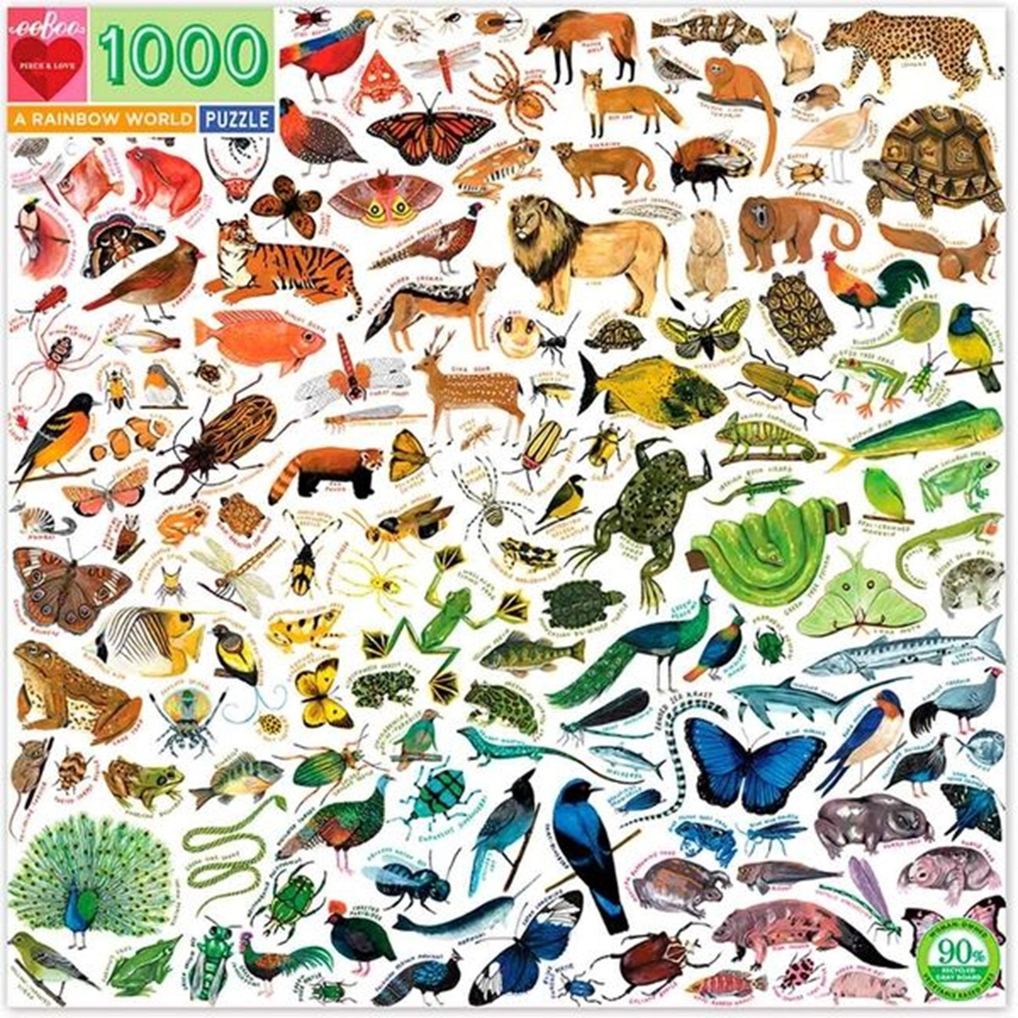 Eeboo Puslespil 1000 Brikker - A Rainbow World