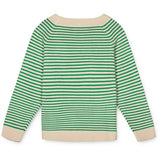 Fliink Jelly Bean Green Stripe Fave Stripe Strik 2