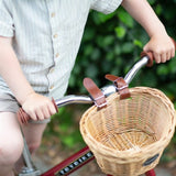 Trybike in Steel Basket for Bike 2