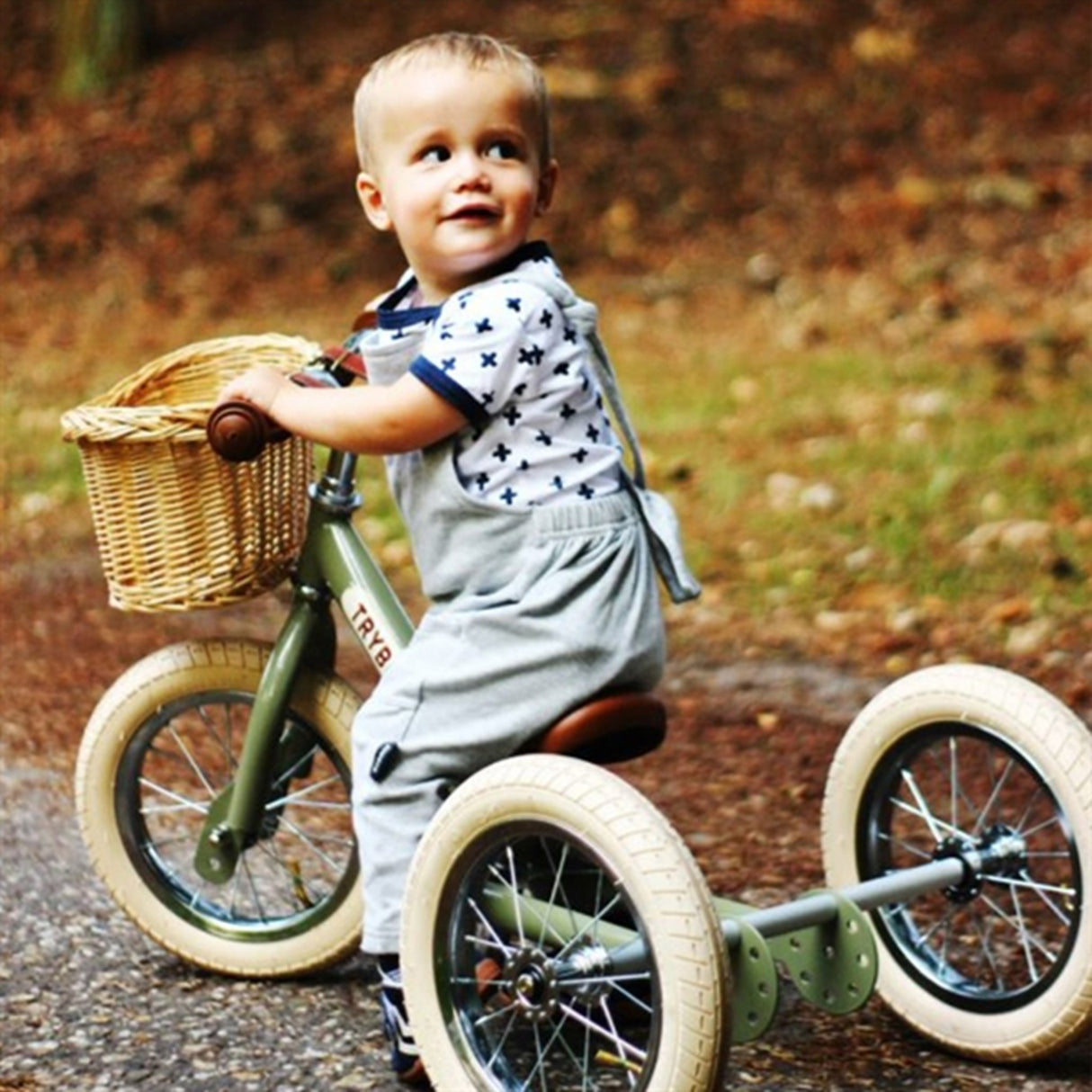 Trybike in Steel Basket for Bike 3