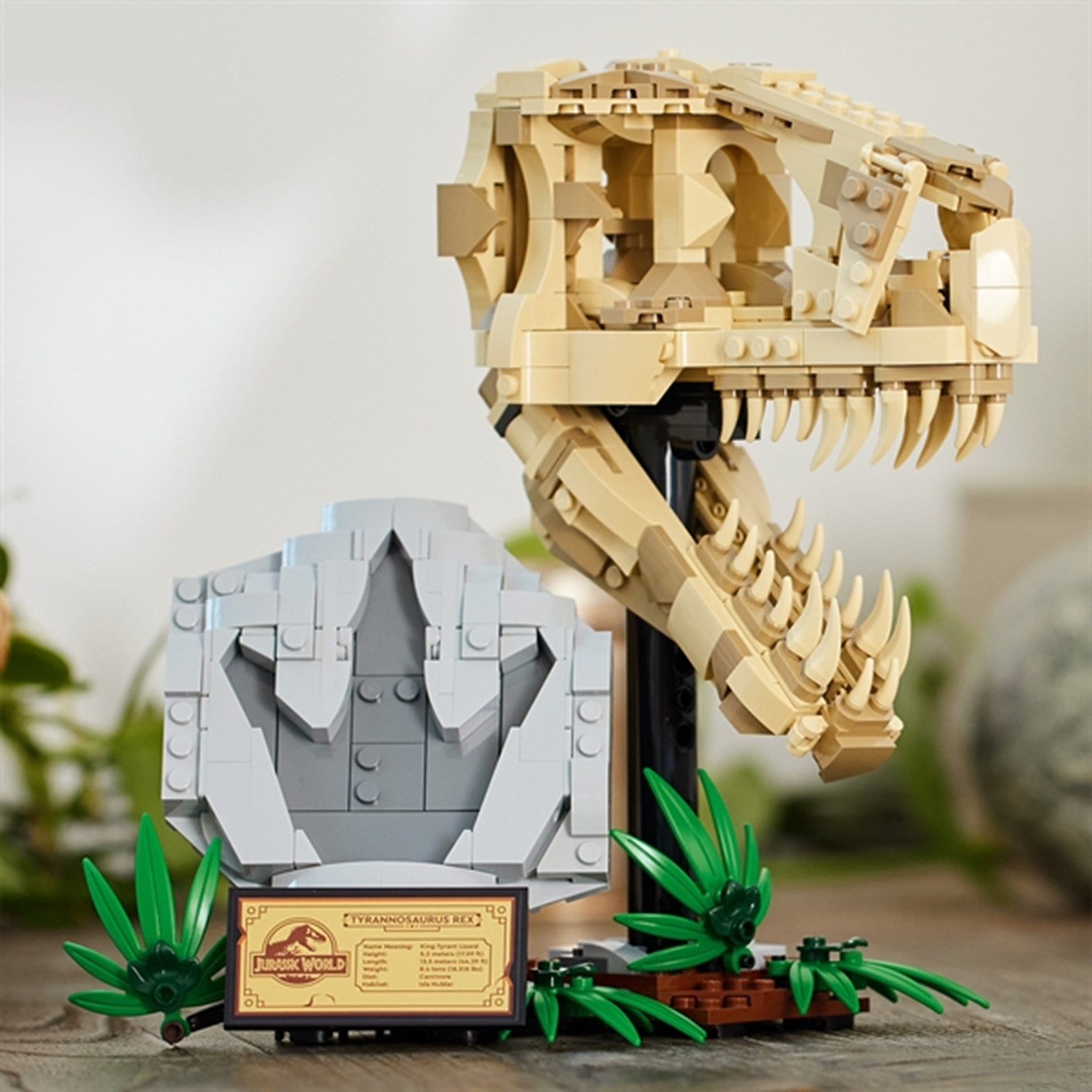 LEGO® Jurassic World™ Dinosaurfossiler: T. Rex-Kranium 5