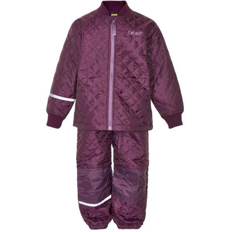 CeLaVi Termosæt Basis Blackberry